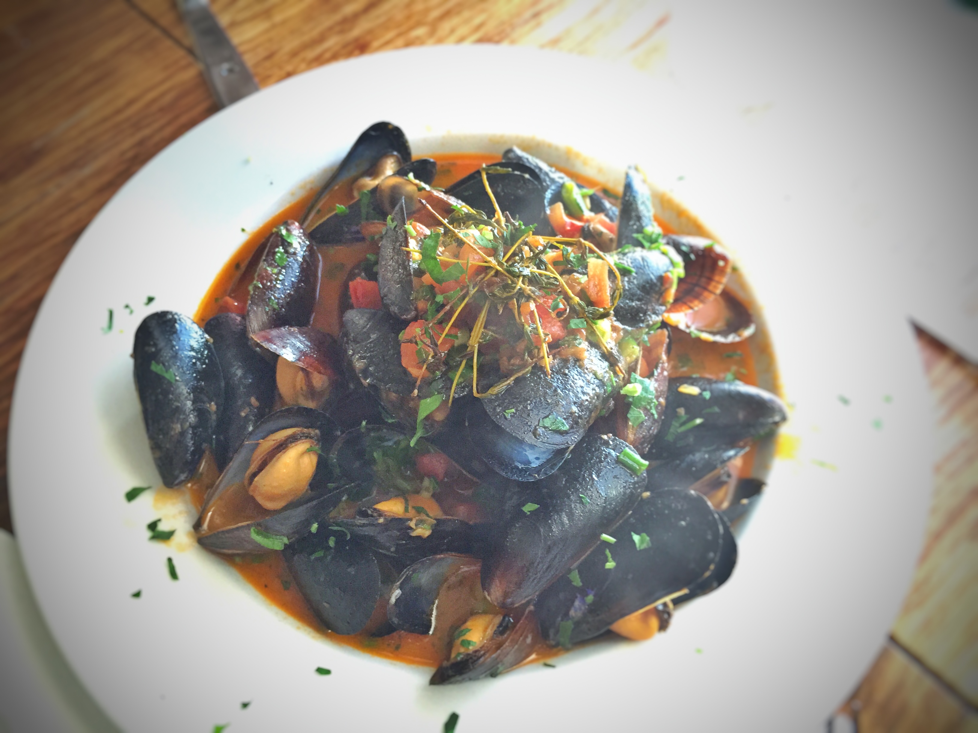 Bowl of steamed mussels and clams in a tomato broth topped with fresh herbs