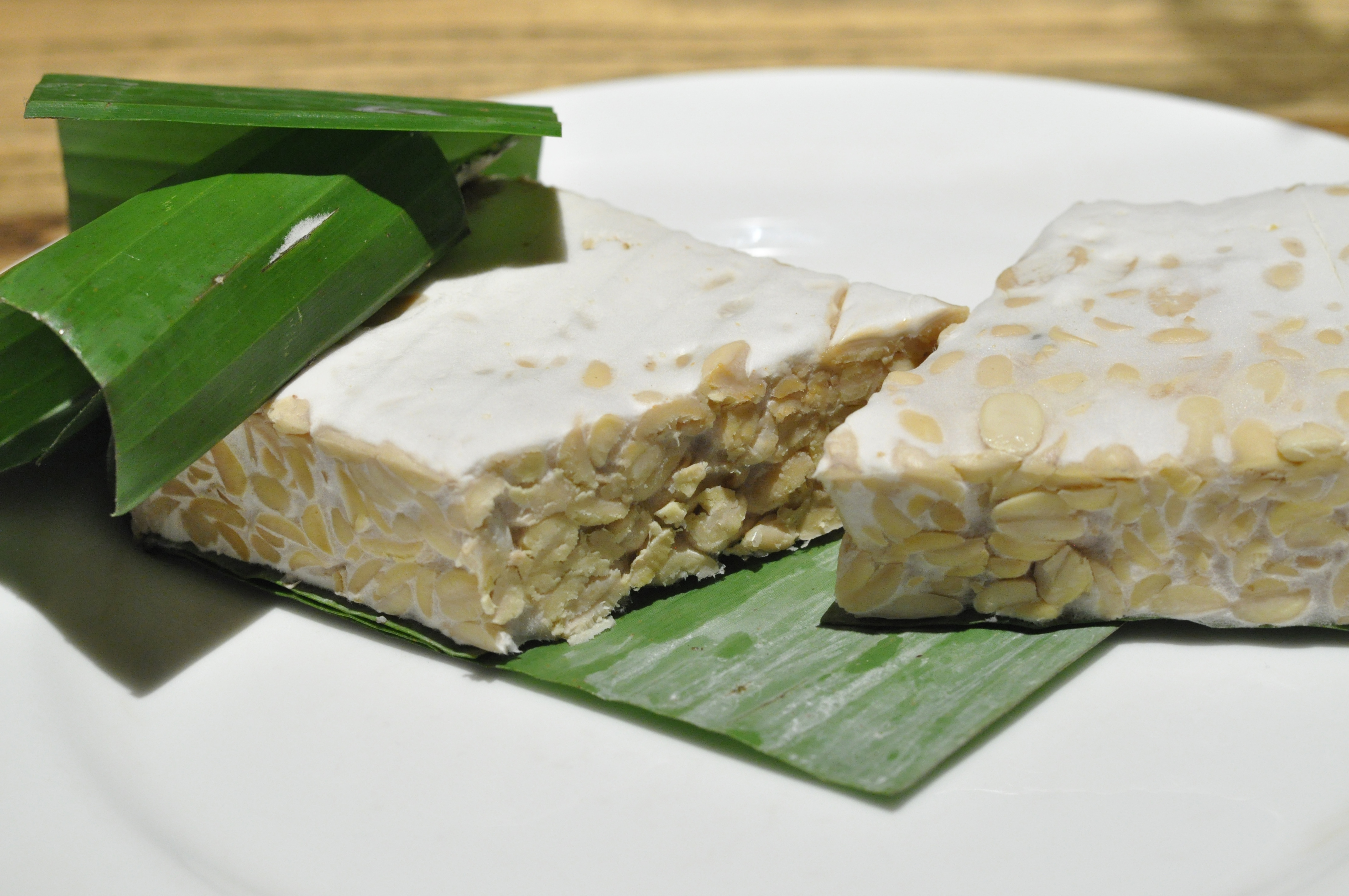 Two blocks of fresh tempeh showing pressed whole soya beans on a white plate with green leaves